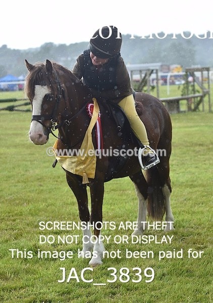 JAC_3839 - 65cm WORKING HUNTER