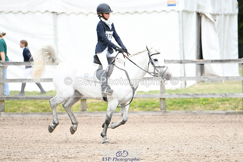 240825X-132511-34084 - 80cm SJ 12.45 to 14.00