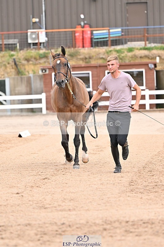 250716-150354-01599 - Trot Up 2.30 to 3.30