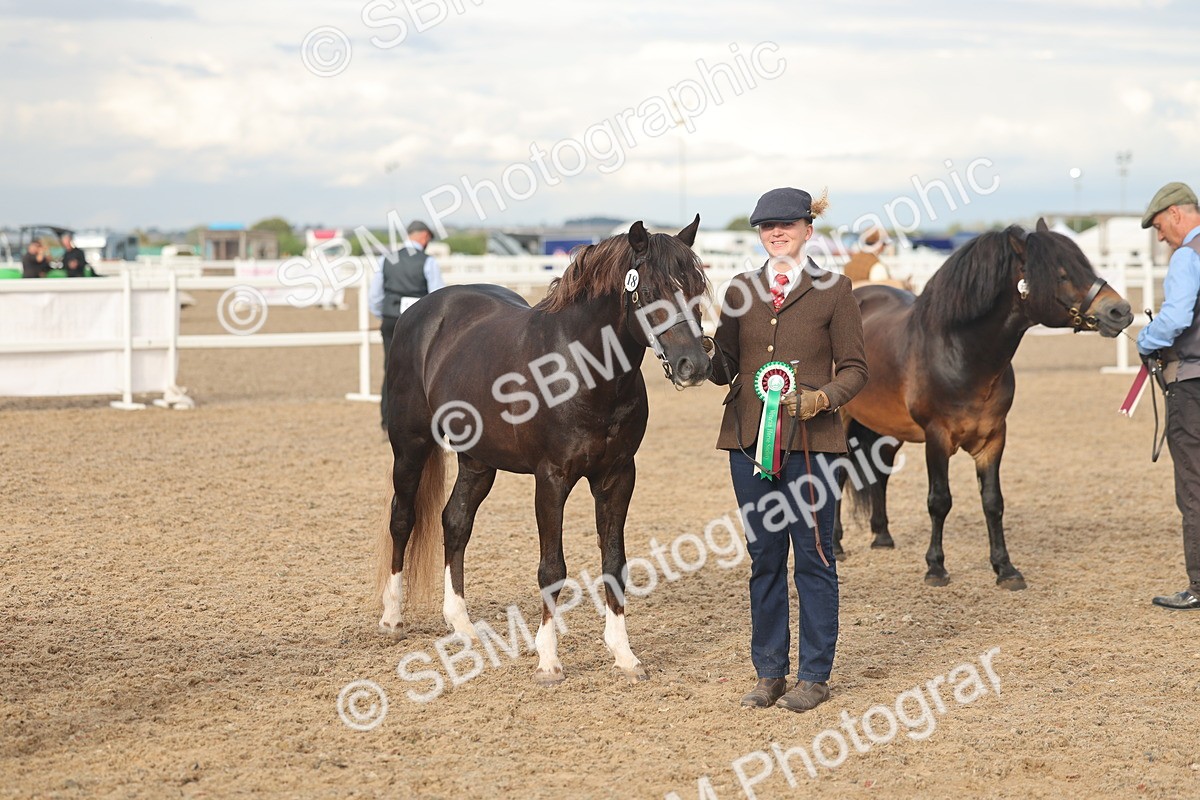 SBM_08596 - Class 29 - IH Veteran Pony