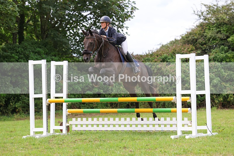 3E7A7347 - Class 5: Senior British Novice/90cm open