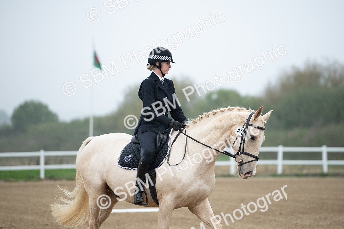 SBM_003342 - Introductory Test 3