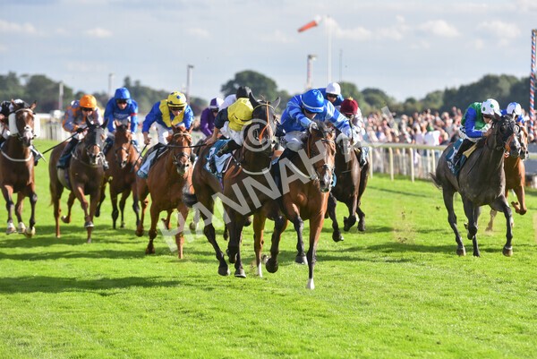 yr19082022r7-38 - Race 7 5.20pm Sky Bet Mile Stakes