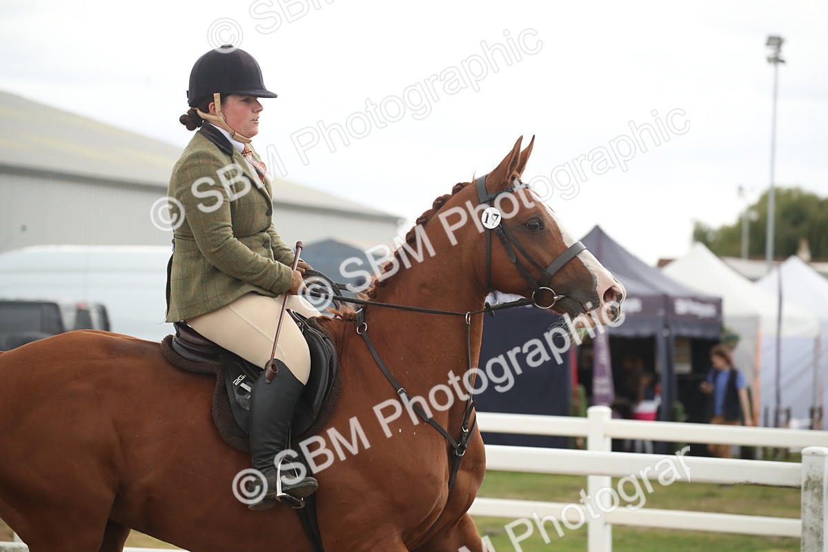 SBM_18466 - Class 510a - Working Veteran 90cm (15-19)