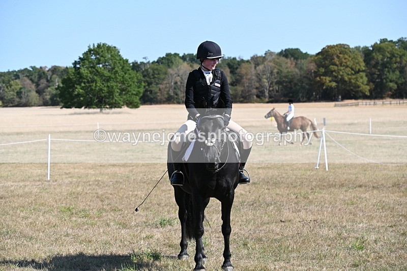 WJ6_7698 - Class 34 Judges Choice
