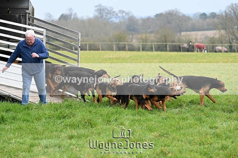 WJ7_7506 - Edited examples