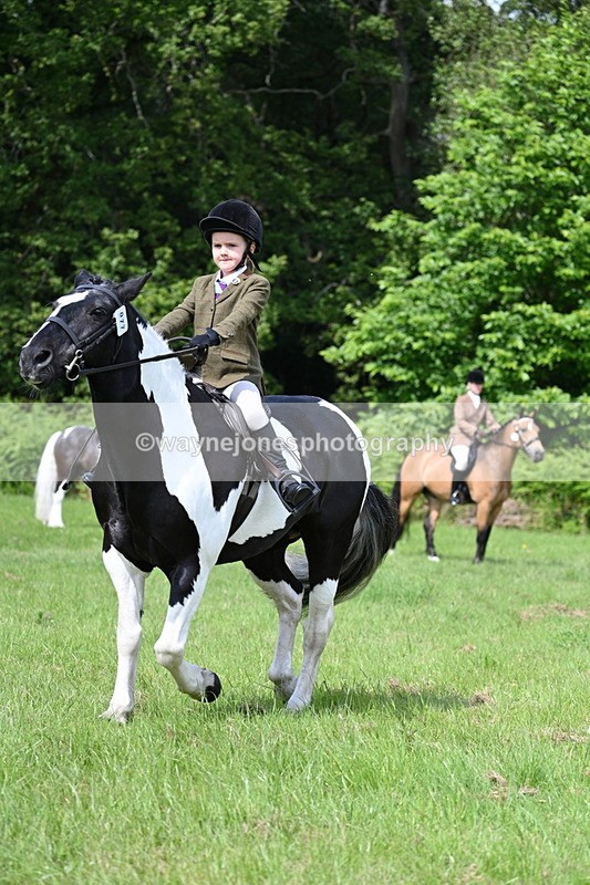 WJ7_1151 - Class 11 Condition & Turnout