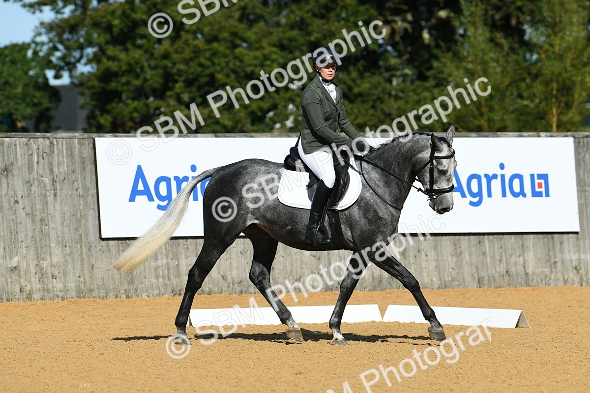 SBM_17941 - D4 - Small Tour Championship - Intro B