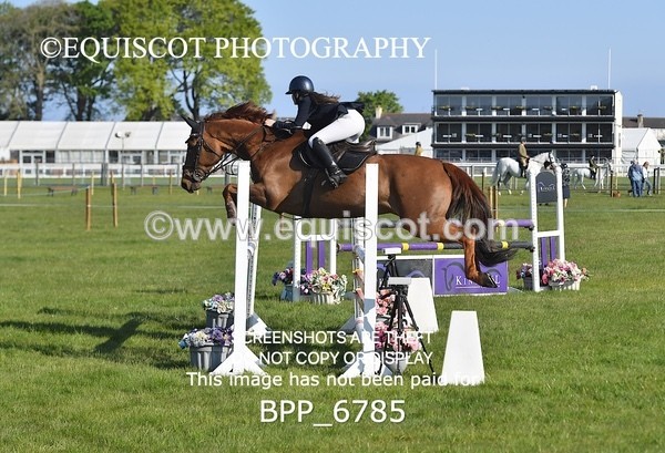 BPP_6785 - CLASS 1 Senior Newcomers/ 1.10m Open