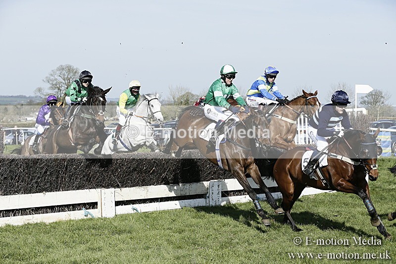 PtP 260317 239 - Mendip Farmers Point-to-Point Ston Easton 26/03/17