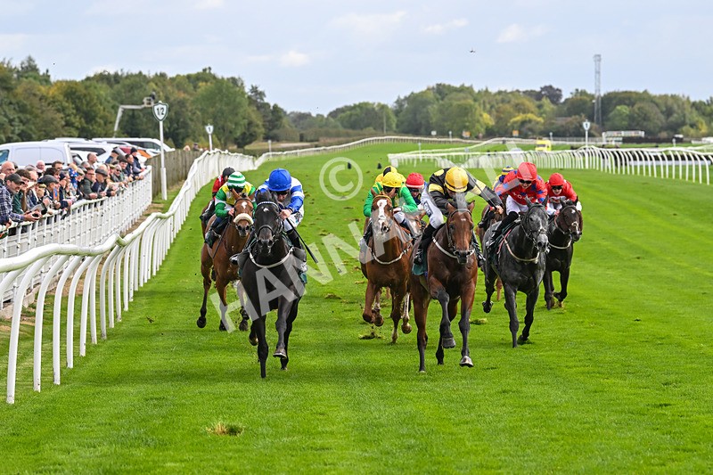 021024-Race 2-Al Hussar-9160 - Race 2