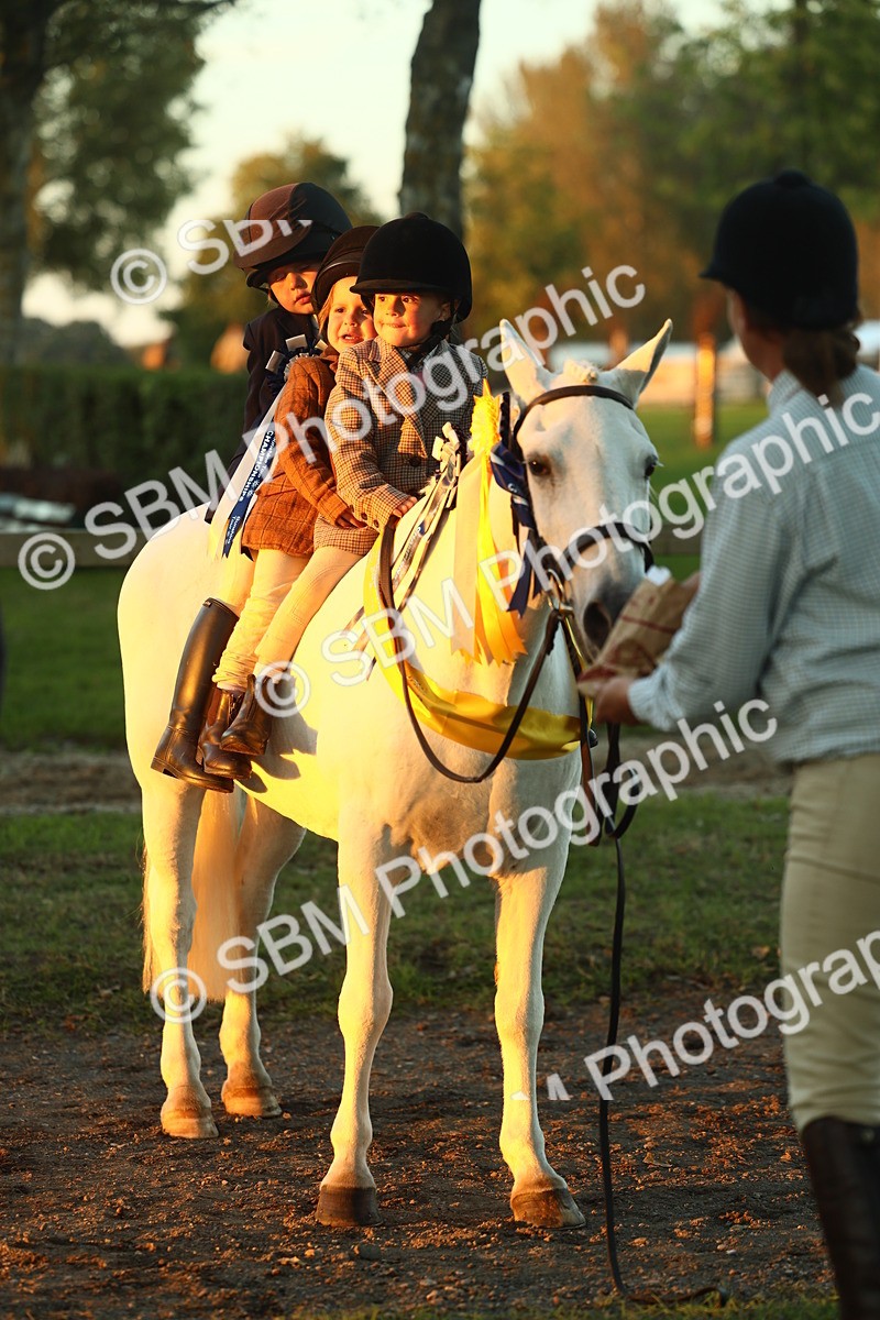 SBM_56757 - Fun & Versatile Supreme Championship