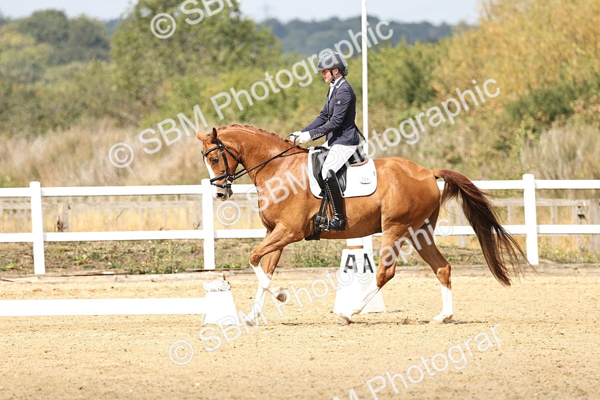 SBM_018333 - Class 16 - Novice 5 - 11.12-12.01