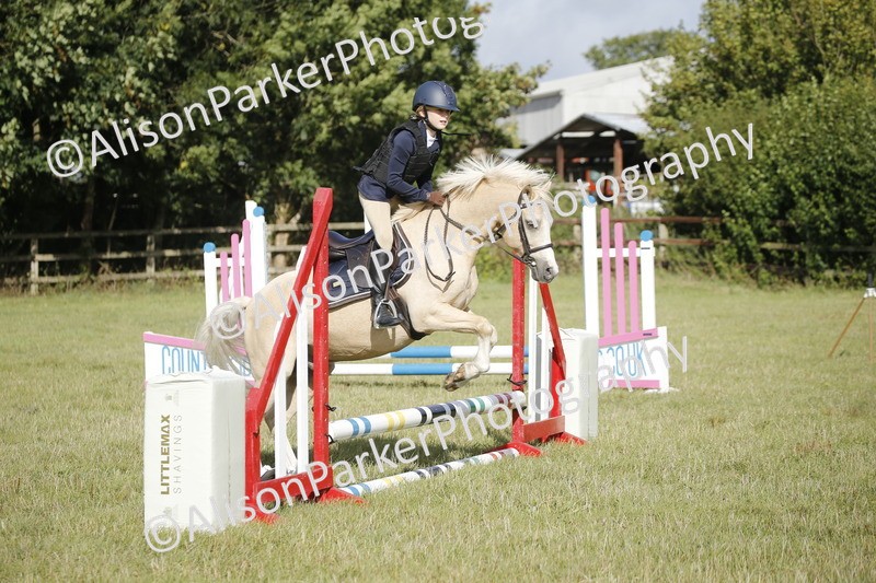 20250831-0203 - Class 1 - 50cm