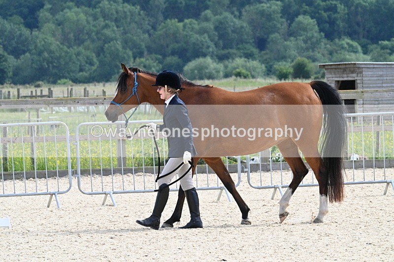 WJ7_8179 - Time 16:10 to 16:25