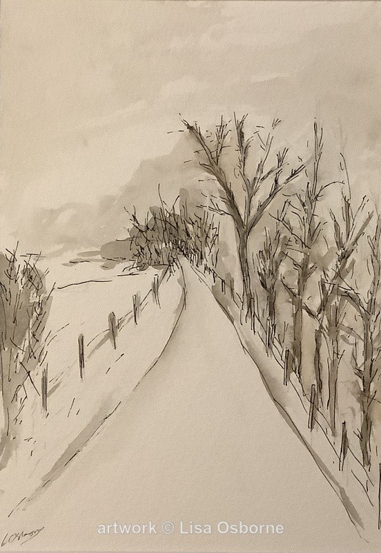 Lane in winter - Seascapes/Landscapes