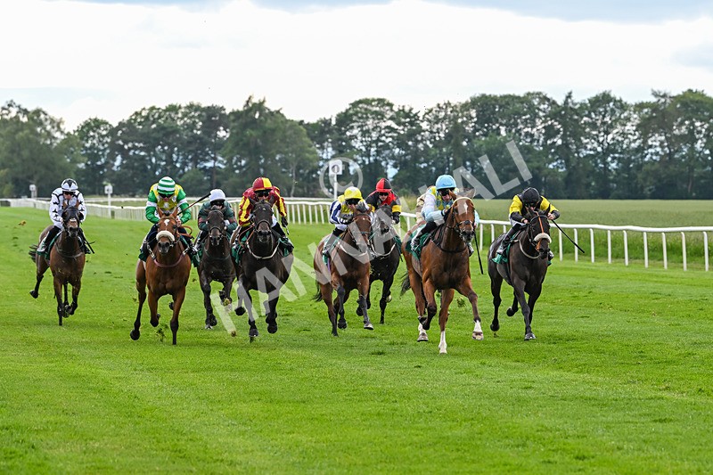 170625-Race 3-Blue Anthem-4954 - Race 3