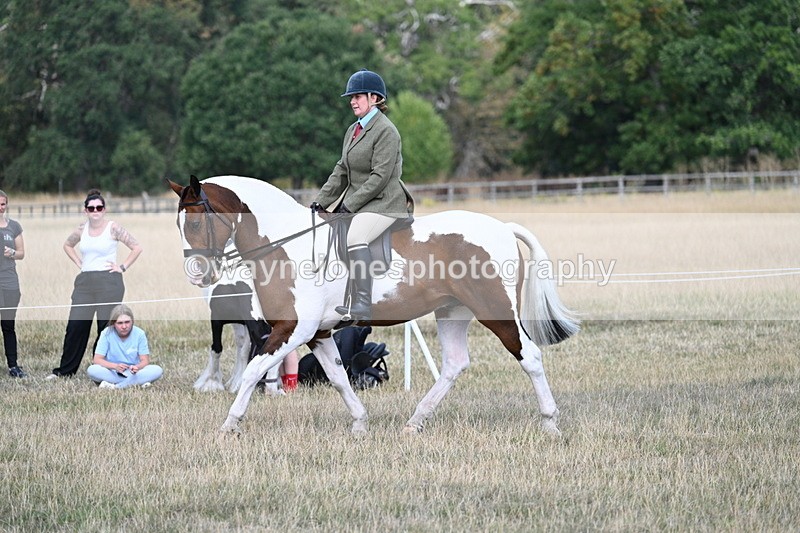 WJ7_7146 - Class 14 Ridden Coloured