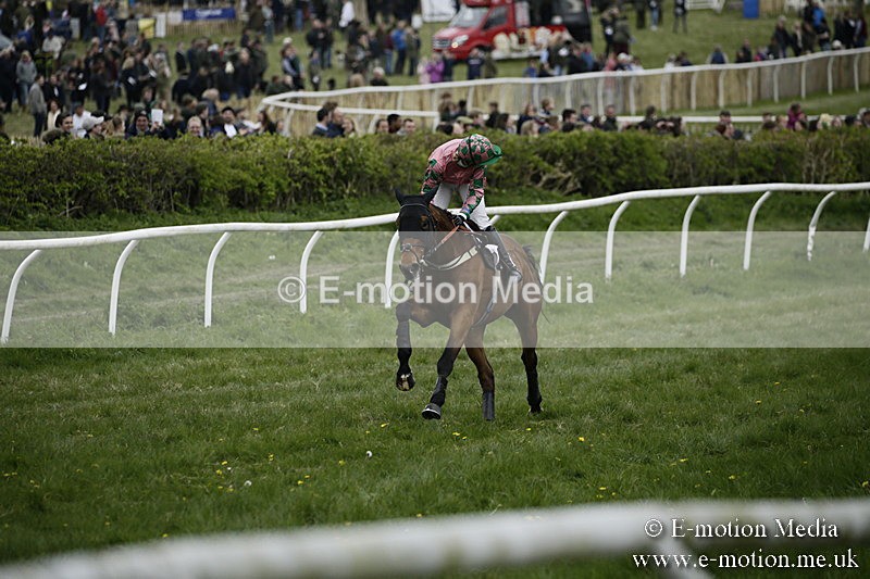 PtP 170417 553 - Old Berks Point-to-Point Lockinge 17/04/17