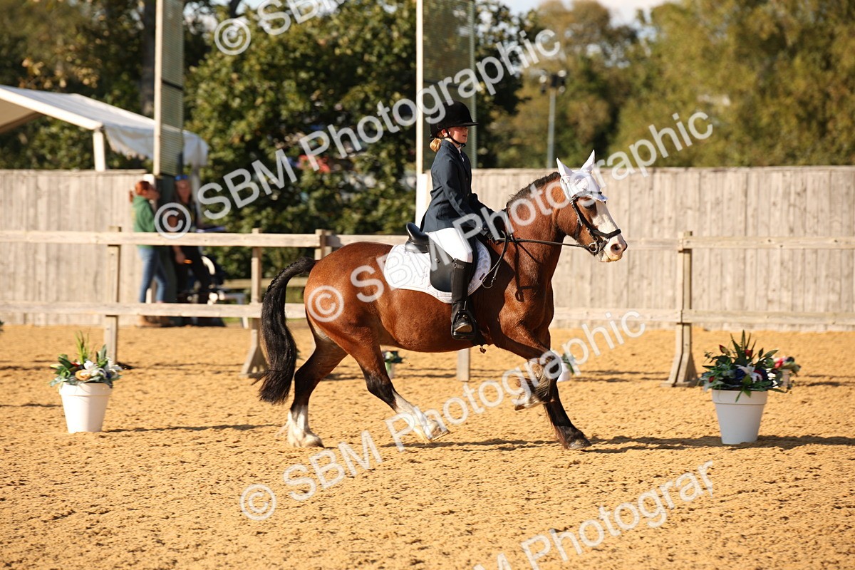 SBM_28352 - D11 - Small Tour Championship - Prelim 13