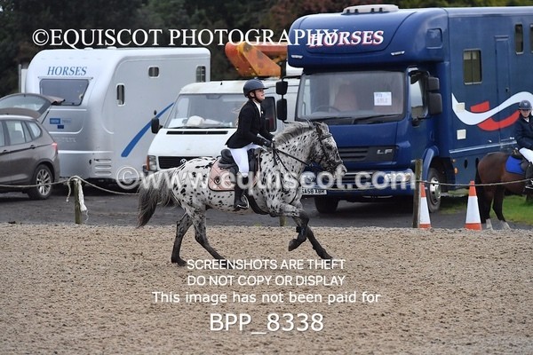 BPP_8338 - CLASS 2 Club/ Unaffiliated 70cms Open