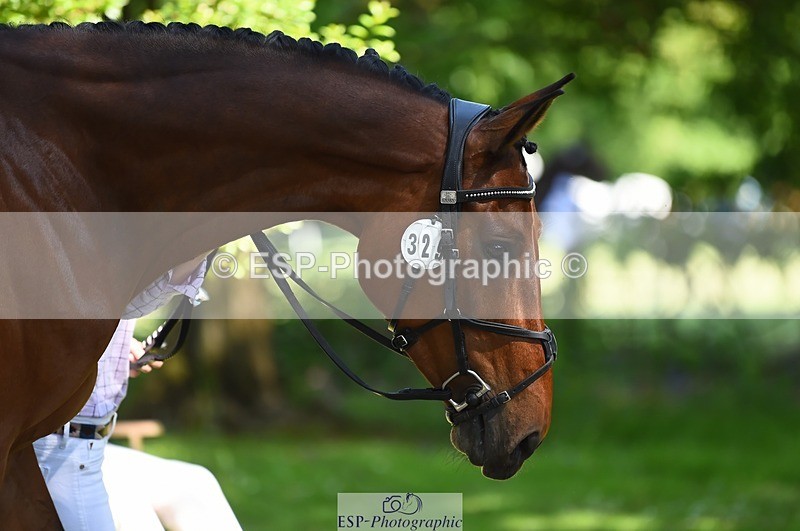 230524-152738-00284 - 329-VINTAGE_GRAFFITI-Alice_Hallows-WEDTrotUp+DR