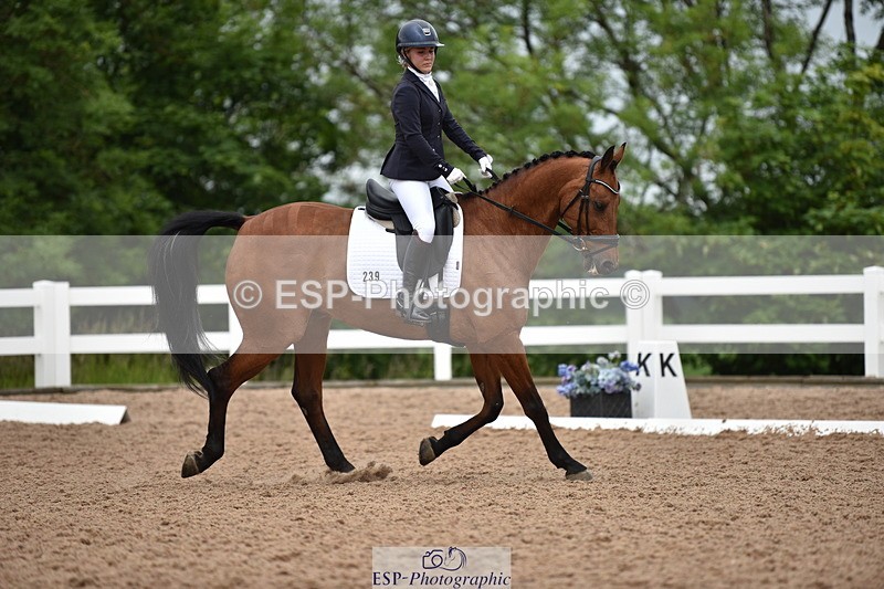 240623A-111934-17094 - Cls 47 BD Novice 22