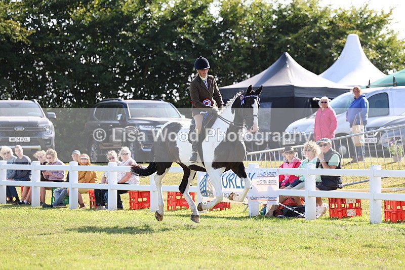 3E7A4095 - Supreme Championship