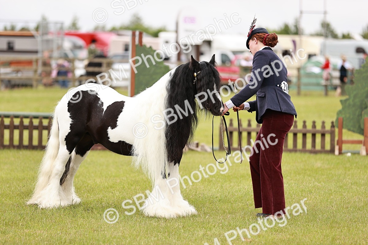 SBM_05997 - Class 39-41 TGCA In Hand and Ridden