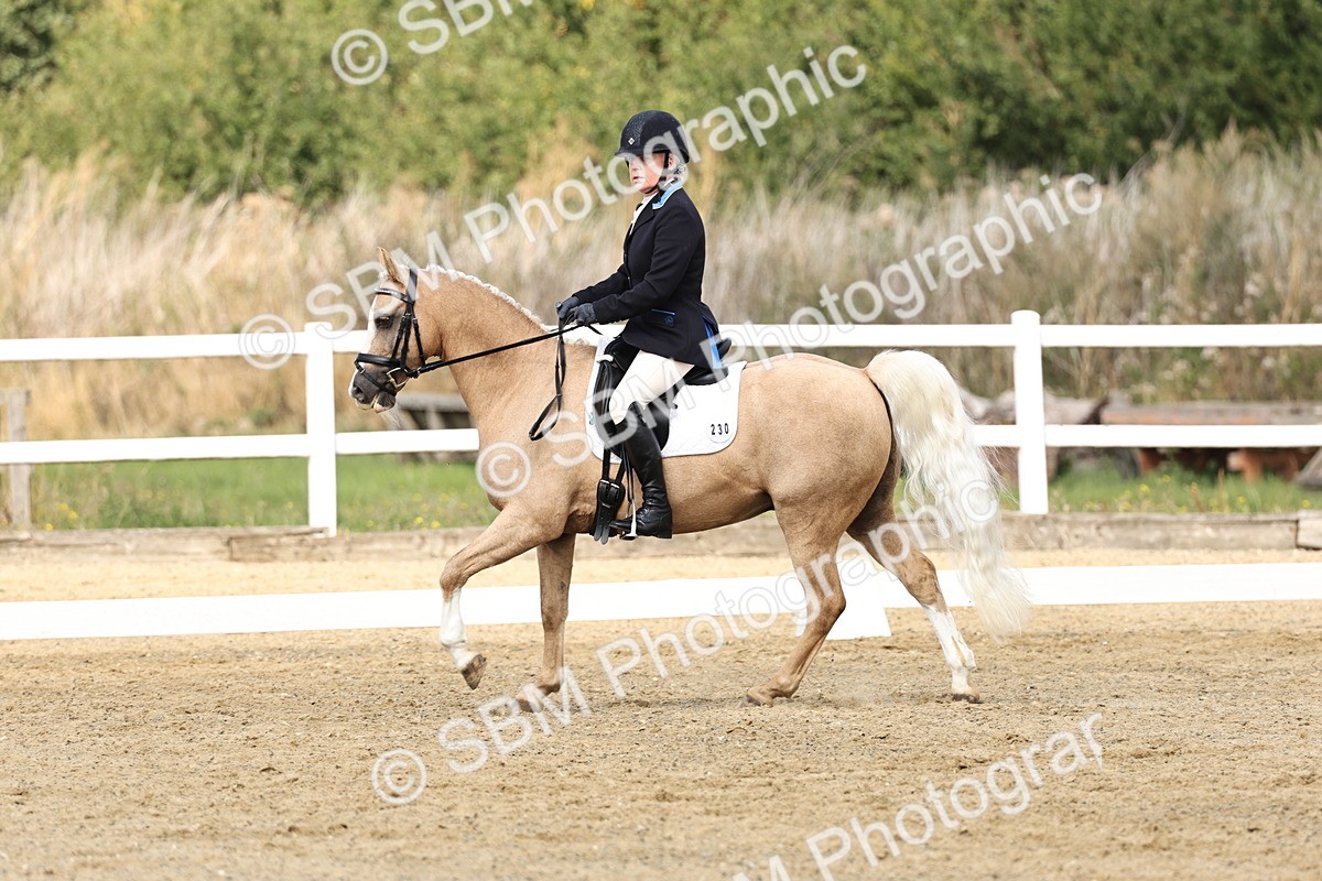 SBM_018212 - Class 16 - Novice 5 - 11.12-12.01