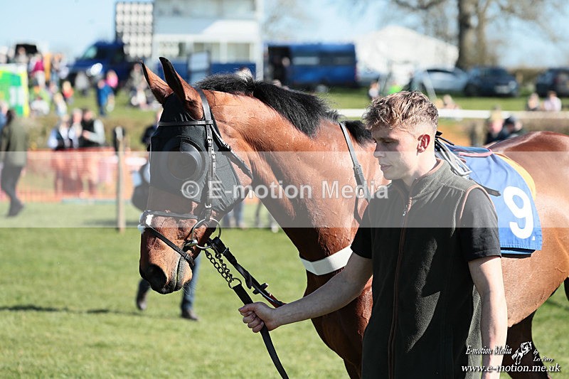 PtP 210326 219 - VWH Cirencester Races 21/03/26