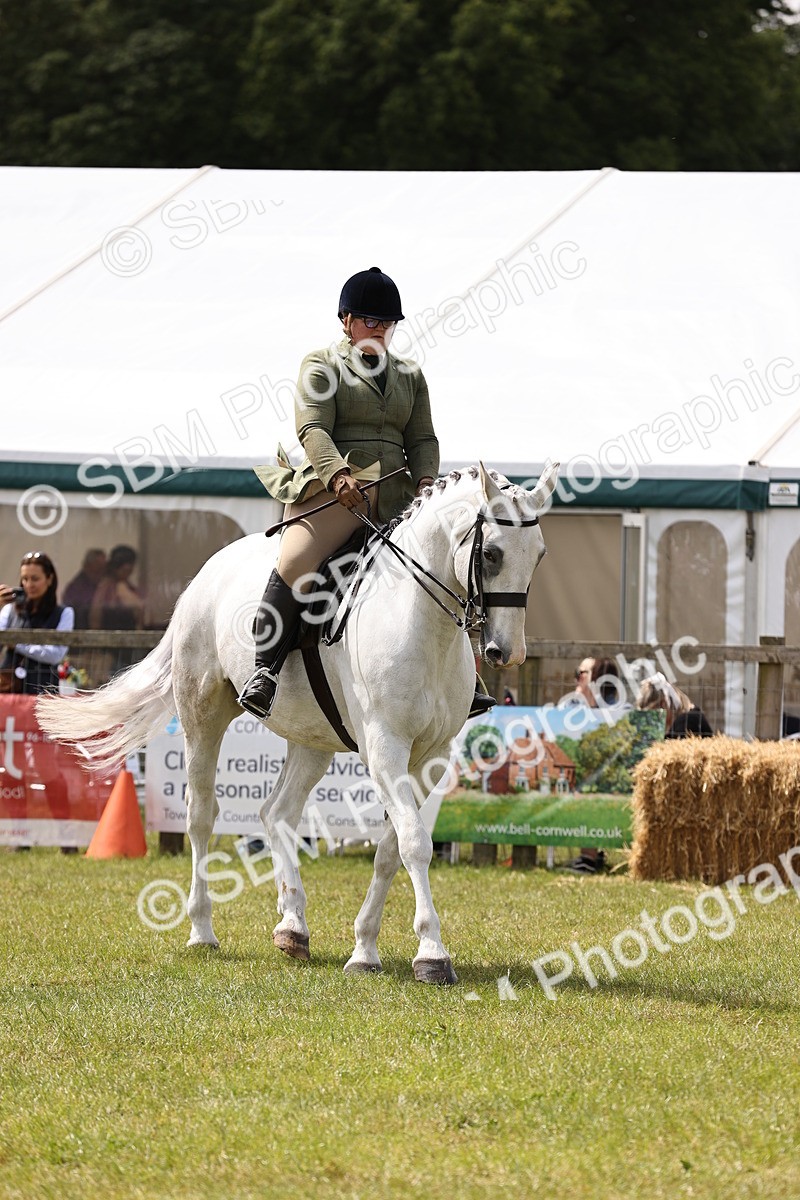 SBM_14702 - Class 88-89 - LIHS BSHA Rising Star of Ridden Hunter Type