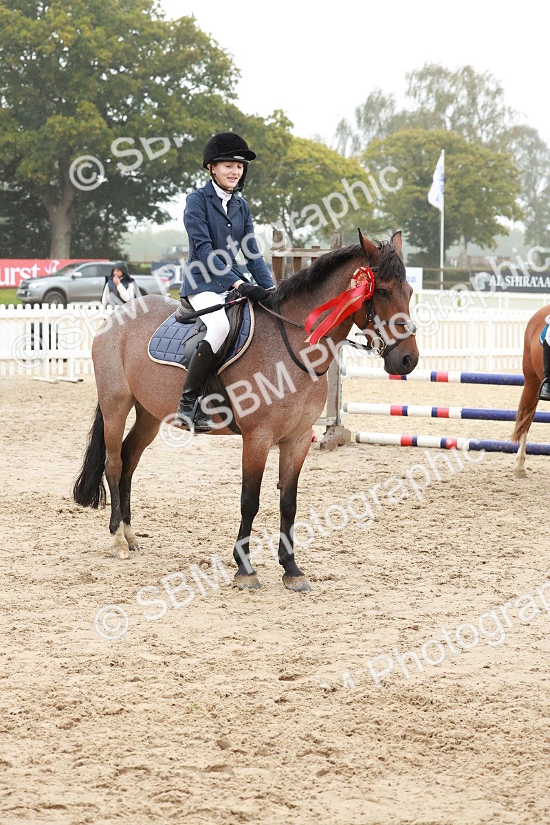 SBM_73548 - Supreme Championship Junior Pony 60cm & 65cm