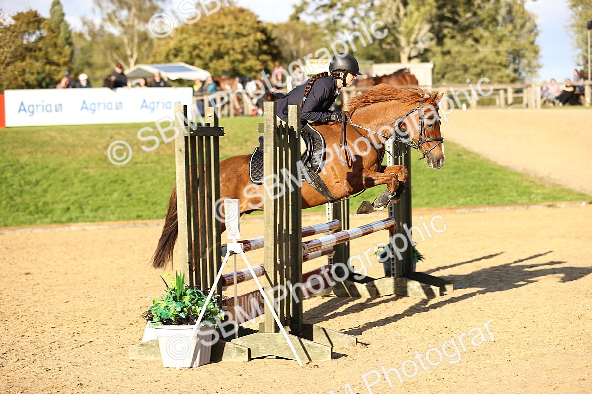 SBM_51981 - J10 - Junior Pony 75cm Championship