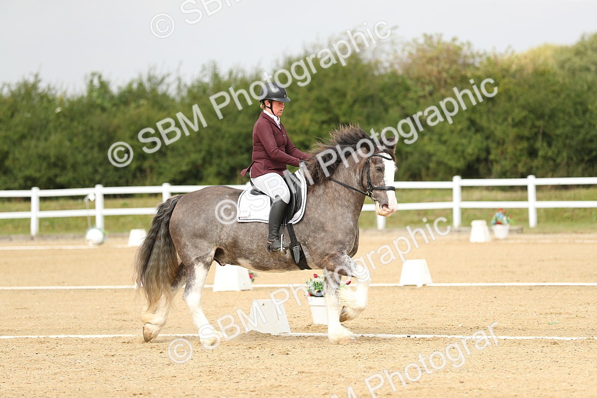 SBM_017314 - Class 13 - Novice 23 - 13.31-14.13