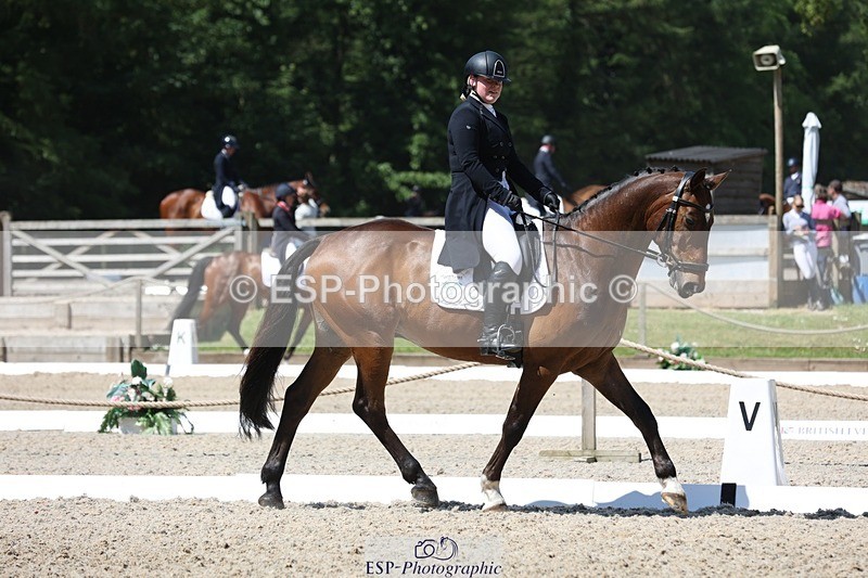 230526-114049-06091 - 154-GELUK_G-Molly_Adams-WEDTrotUp+DR