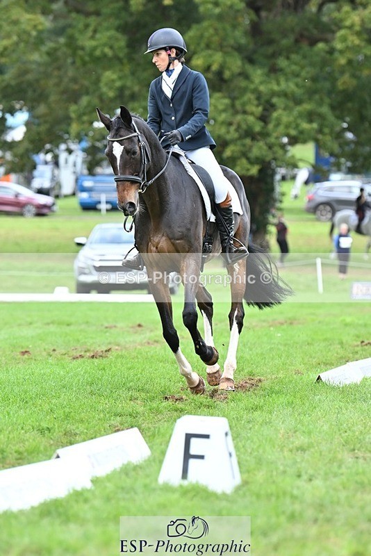 231020-153748-11529 - 687-VLOVE.D.OR.LY-Hani.Milstein-DR