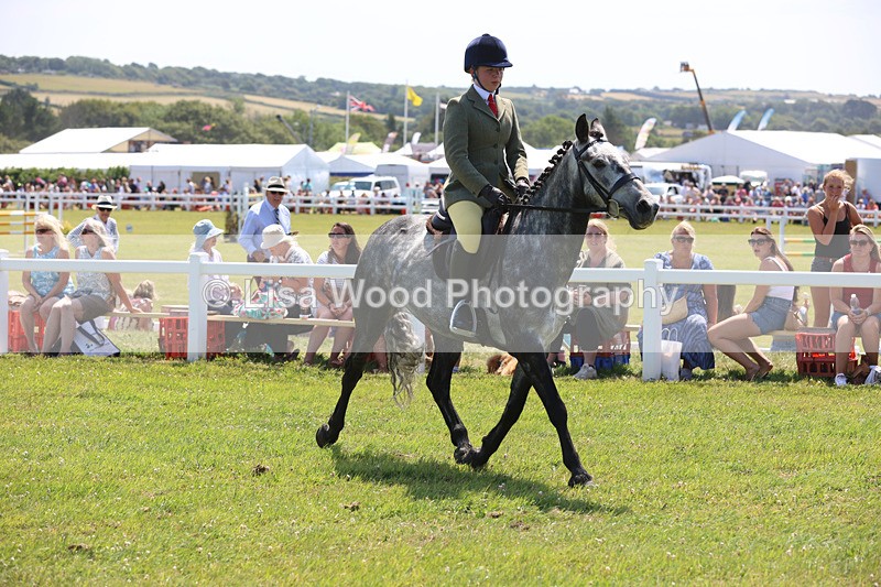 JPP_2822 - Class 21: Working Hunter 60cm