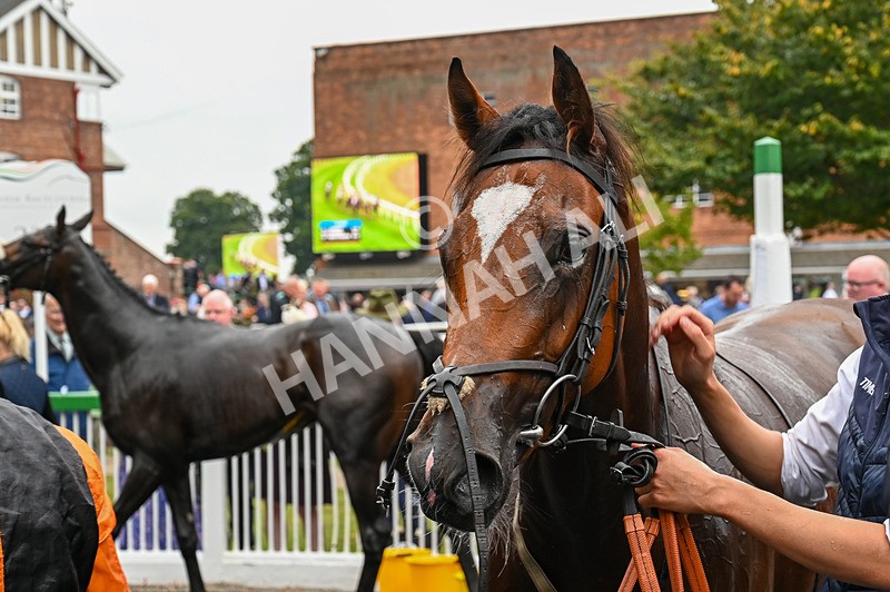 070924-Race 2-Cymbidium-2915 - Race 2