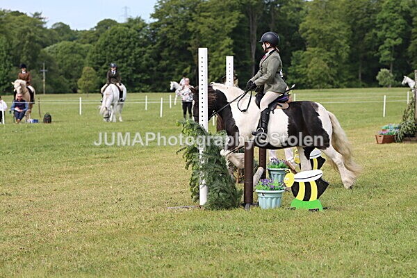 IMG_2383 - Working Hunter