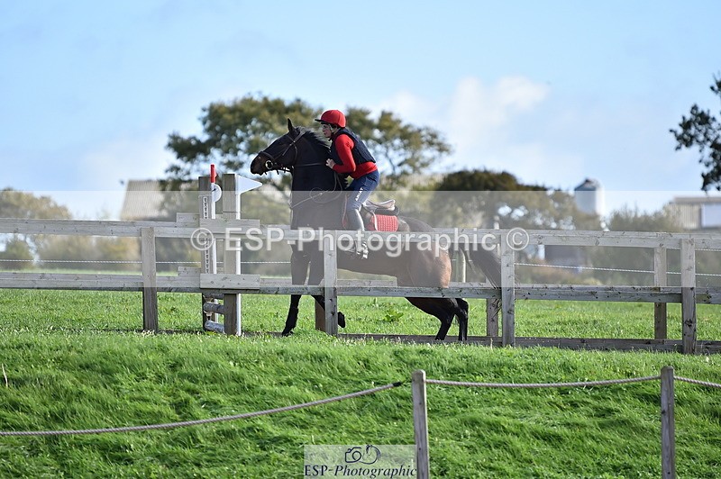 231105A-111714-00478 - 80cm