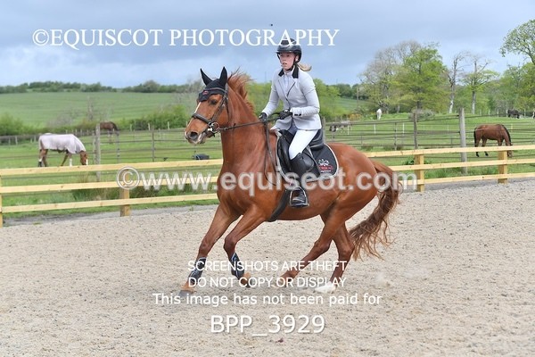 BPP_3929 - CLASS 2  Club/ Unaffiliated 80cms Open