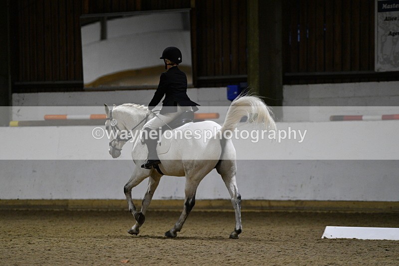 WJ5_8799 - Class 5 Novice Test 3