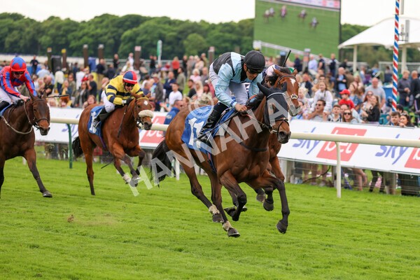 yr22052022r1-28 - Race 1: 3:30pm Sky Bet Sunday Series Apprentice Stakes