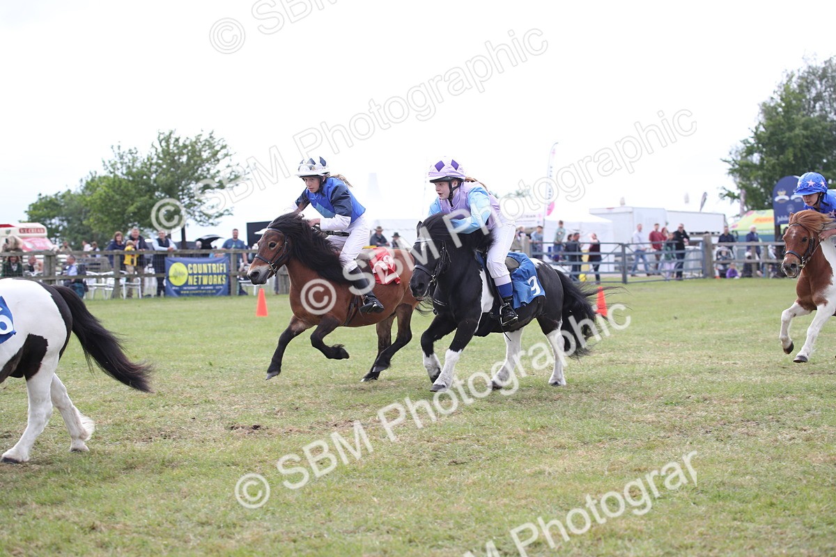 SBM_10016 - Dinky Derby