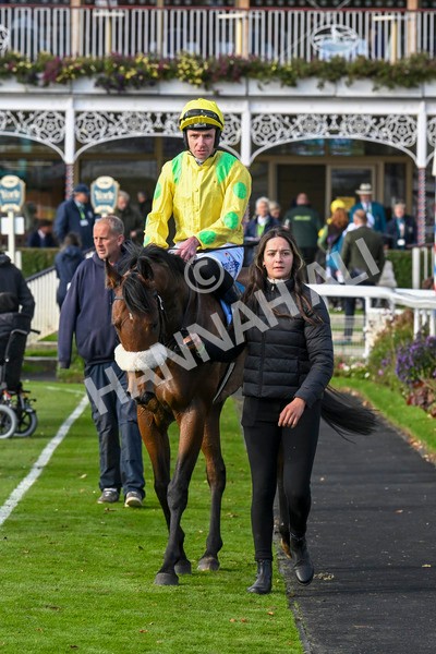 111024-Race 4-End Of Story-1855 - Race 4 3.10pm Parsonage Hotel And Cloisters Spa Nursery Handicap