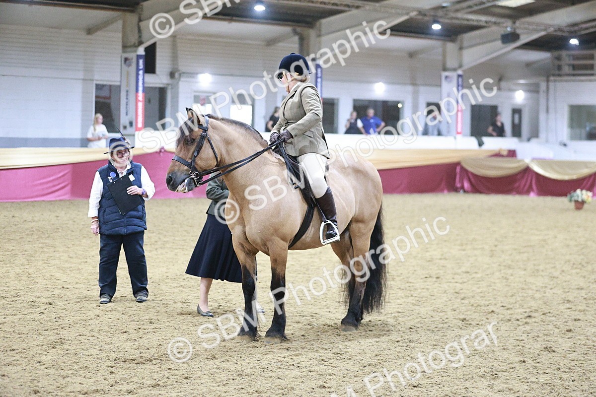 SBM_08094 - Class 11R - Regional Ridden Veteran