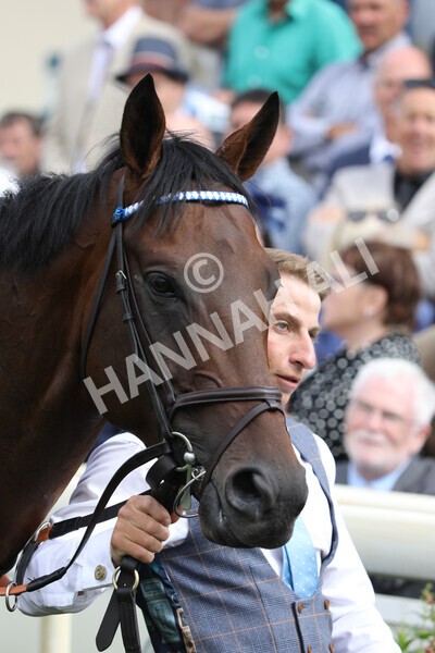 yr17082022r4-34 - Race 4 3.35pm Juddmonte International Stakes (British Champions Series Race)