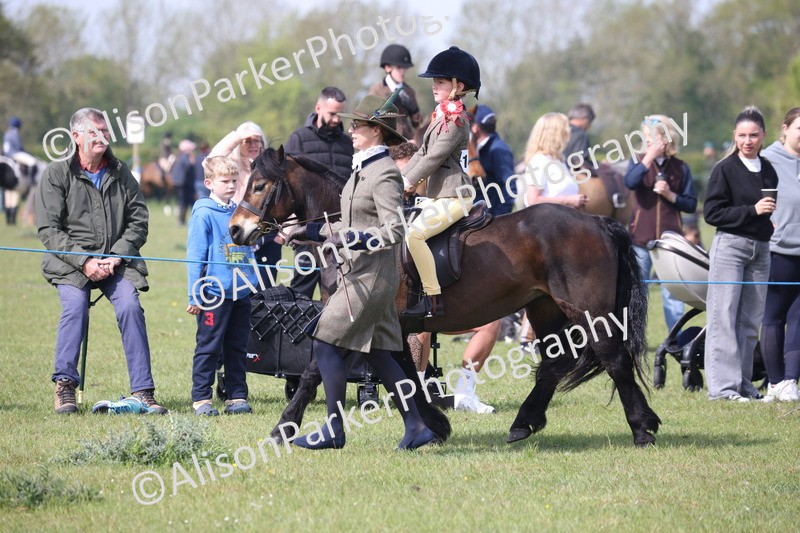 20260426-2462 - Class 31 - Leading Rein