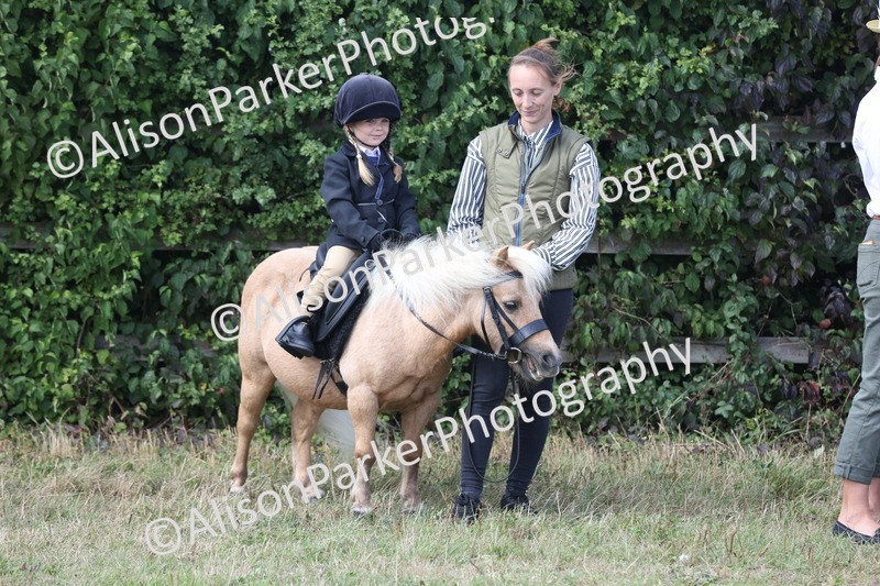 20250831-2731 - Class 17 - Lead Rein Pony